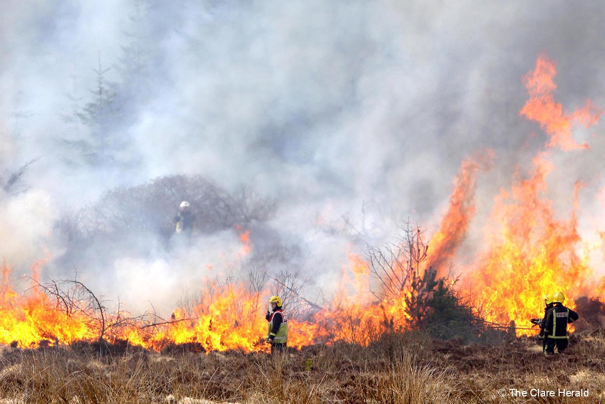 Condition Orange Forest Fire warning issued

clareherald.com/news/fire-safe…