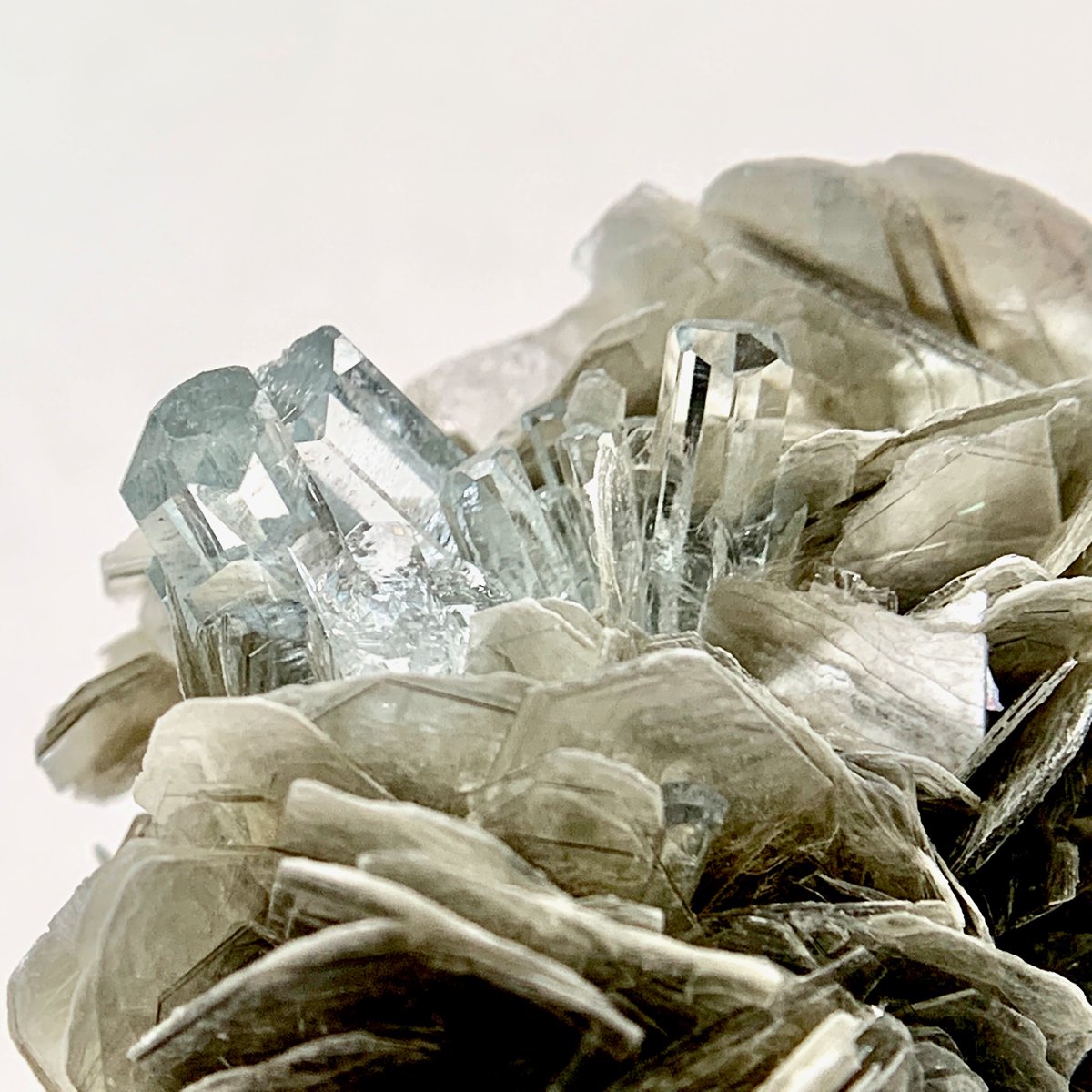 アクアマリン - Search / X