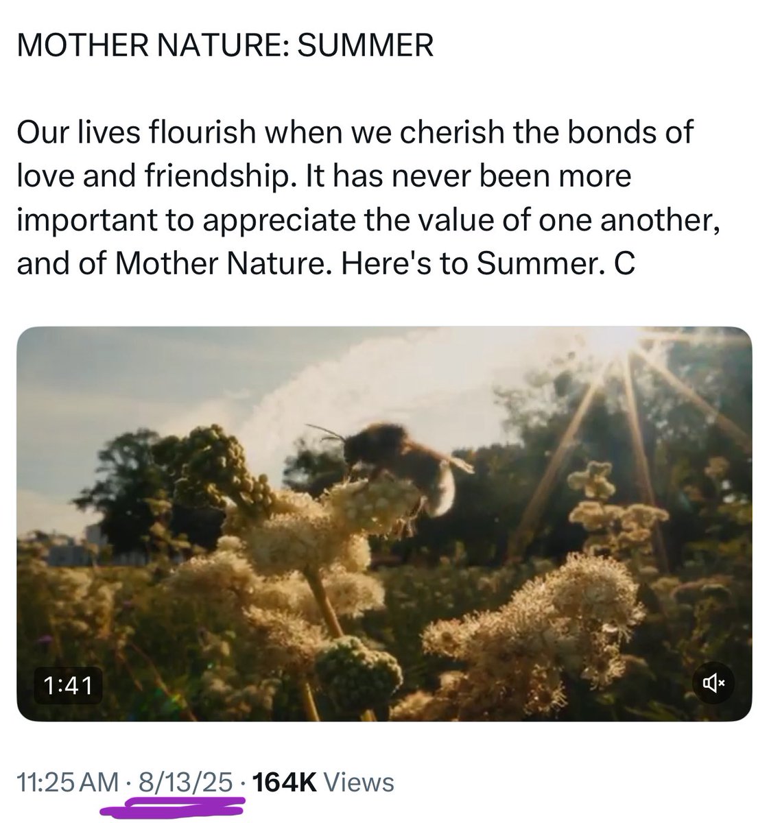 ValleyGirl629's tweet image. So perfect you have to hate Meghan in order to like Kate. 🤣 So perfect you have to LIE a/b who released their video first. 🤣 So perfect you have to use Meghan’s name to cover 4 Kate’s lazy “Summer” video—released when Summer is damn near over! LEAVE MEGHAN ALONE!