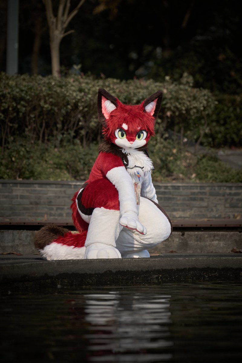River Cat
📷:<a href="/LittleApplecat/">Gomeow·金桔·柠檬茶</a>
#FursuitFriday