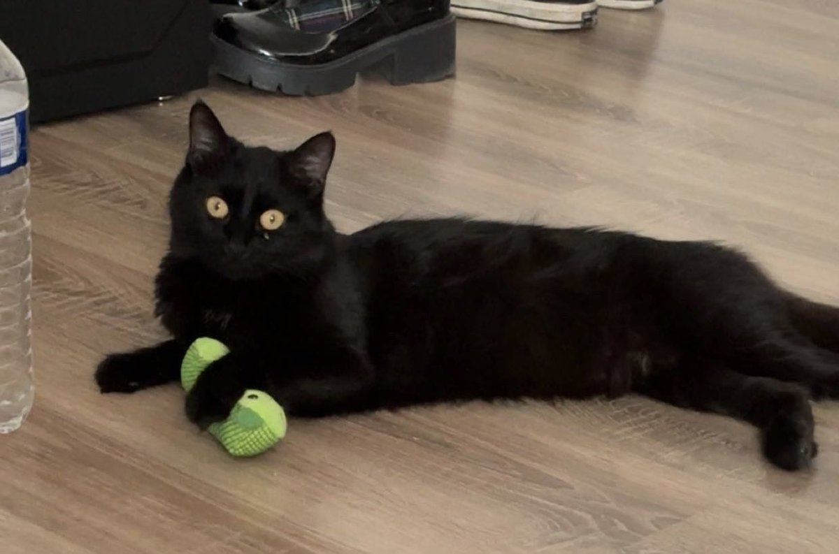 she loves her little pickle !!!🥒