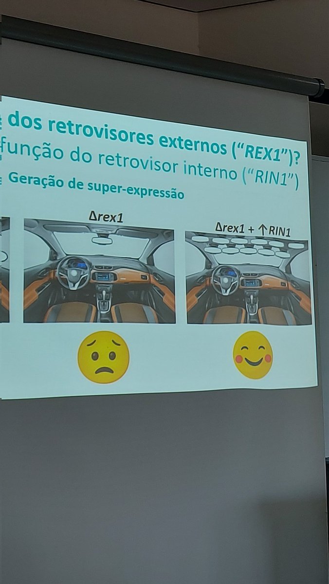 e o carro lotado de retrovissor retorna mais uma vez