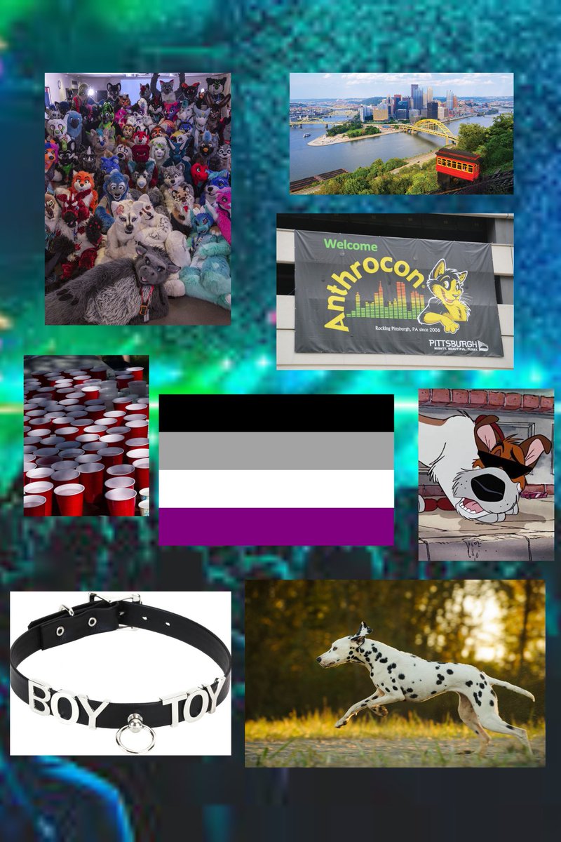 Loveless x A Furry Faux Paw

It's a weekend of firsts for Luke: first con, first time meeting his boyfriend in person, and first time having sex. But can Luke still be the partner his boyfriend wants after learning why sex makes him uncomfortable?

 #QueerPit #COA #CON #YA