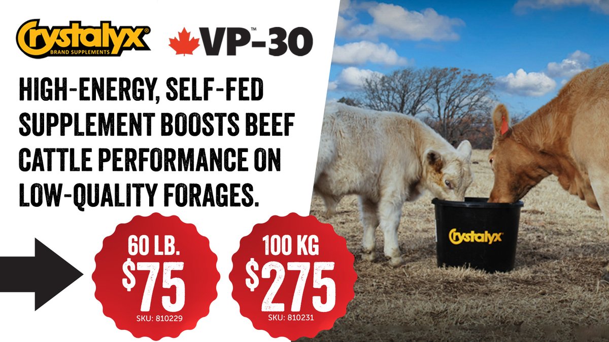 Boost cattle health with CRYSTALYX VP-30! Nutrient-dense, self-feeding block for optimal forage use. Perfect for late-season grazing. Now on sale: 60lb. for $75, or 100kg for $275. At our retail store: 38 Cold Storage Road, Picton, or call 613 476-2171. #CattleNutrition