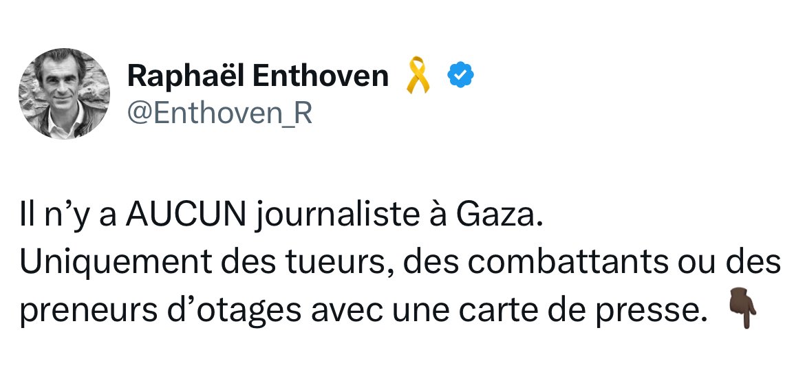 Il ne faudra pas oublier Raphaël Enthoven quand on fera le procès du génocide