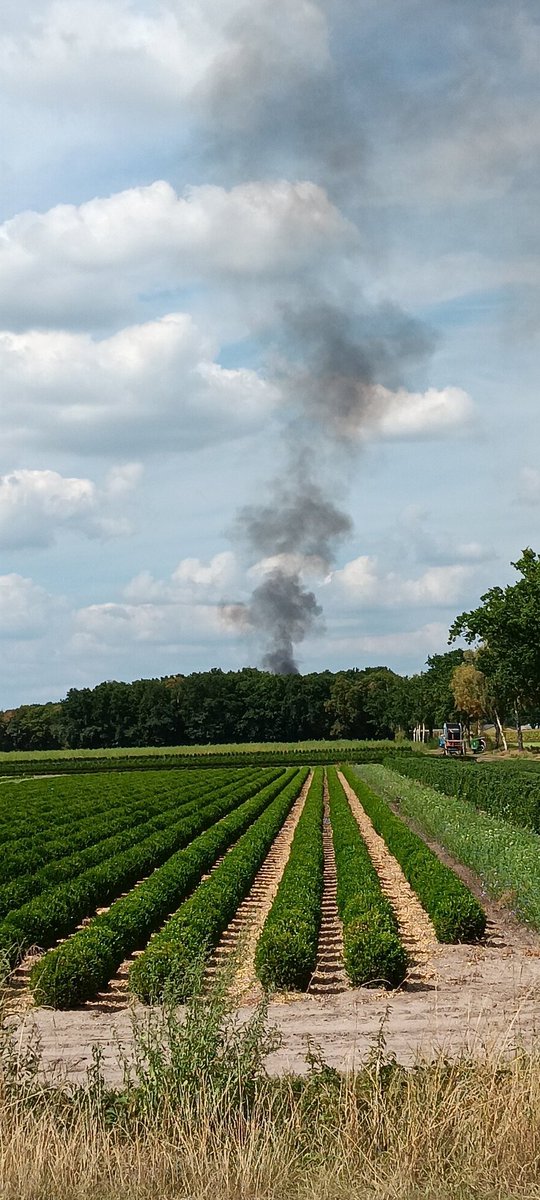 Mark van der Velden tweet media