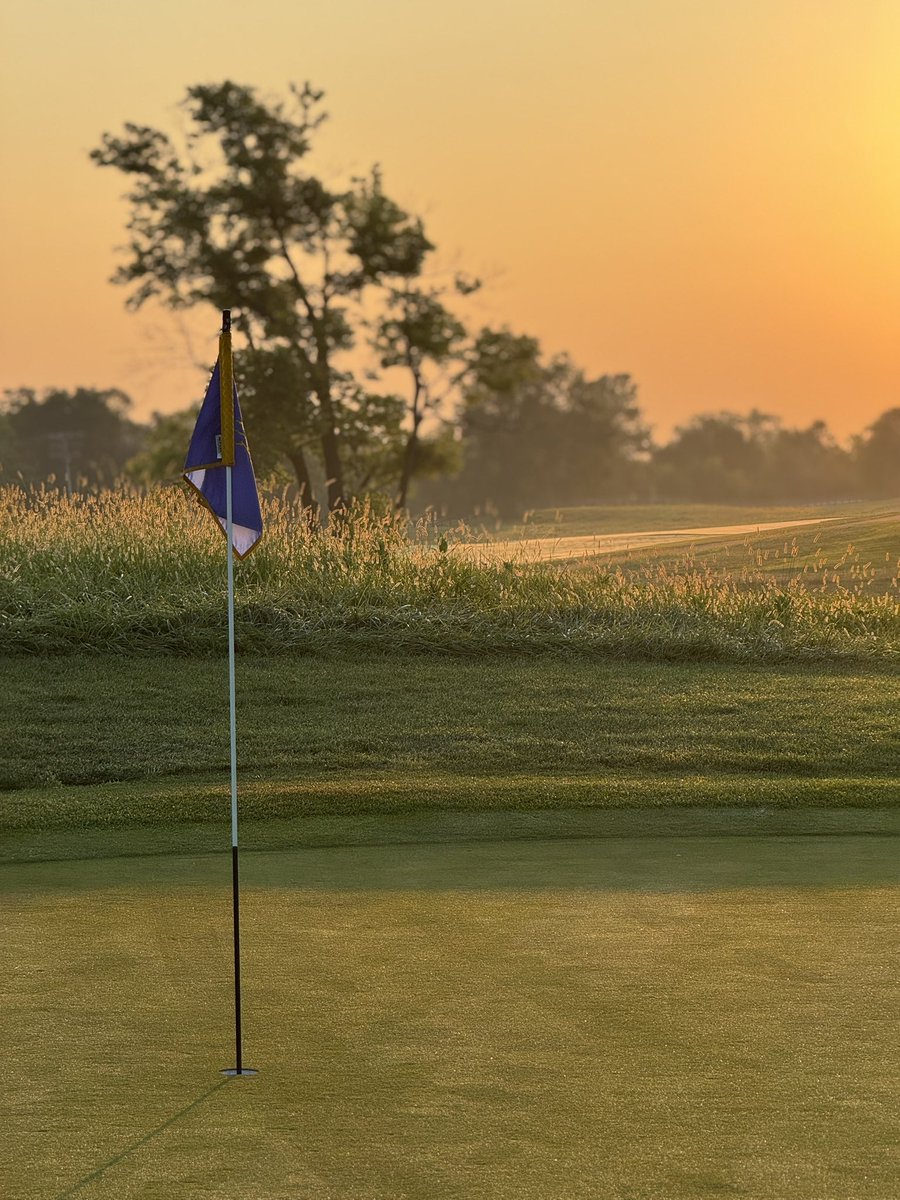 Dan Grogan tweet media