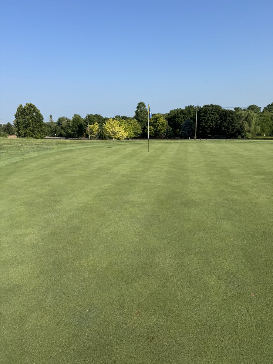 Dan Grogan tweet media