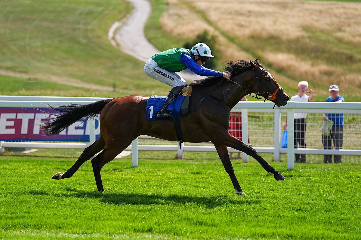 MantonTB's tweet photo. 🟢🔵⚪️ 𝐖𝐈𝐍𝐍𝐄𝐑 - 𝐆𝐀𝐒𝐂𝐎𝐍𝐘 ⚪️🔵🟢

Gascony stretches away from his rivals to break his maiden at Epsom under Tommie Jakes for Brian Meehan. Many congratulations to all his owners in the Manton Thoroughbreds X syndicate 👏🏼

#MantonThoroughbreds https://t.co/iiSTeaSwqv