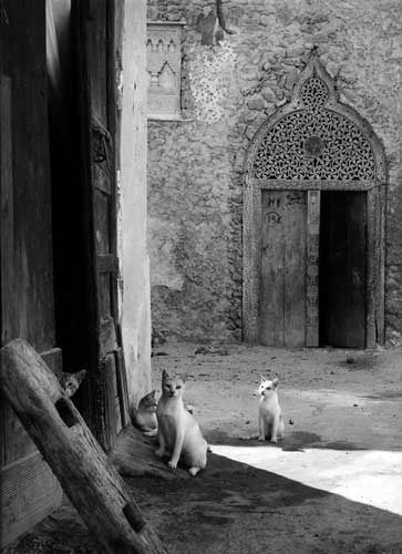 باب أثري من كنوز بنادر، يحمل بين نقوشه حكايات قرون من التاريخ والتراث العميق.