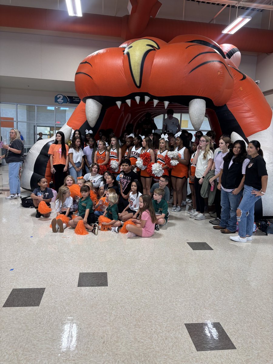 Texas Tiger Hoops 📈🐅 tweet media