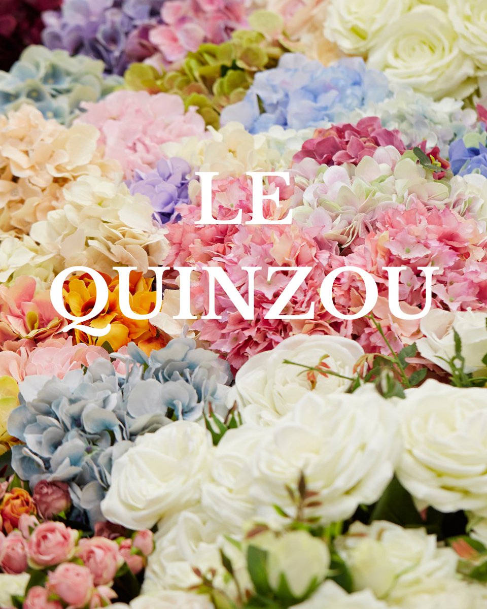 Fantastic Fox (@cefinrenard) on Twitter photo 