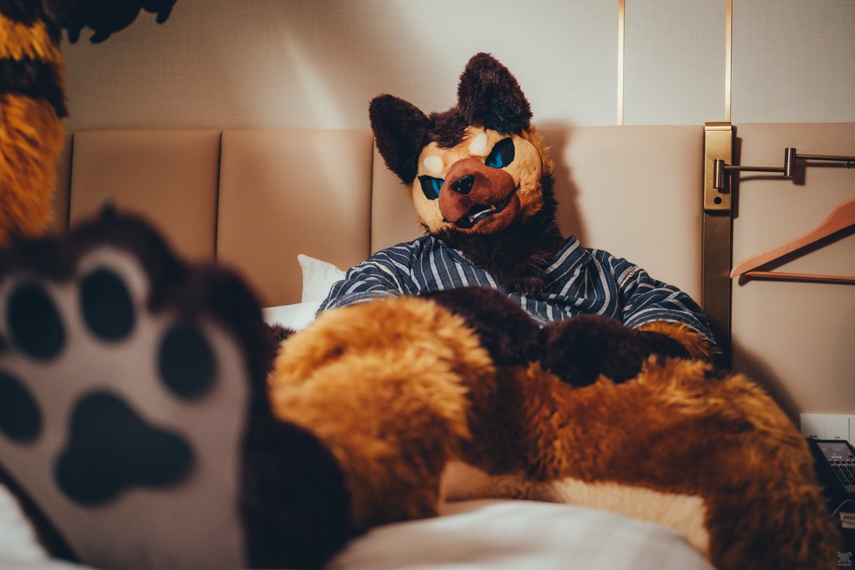 "え、今呼んだ？"

#FursuitFriday