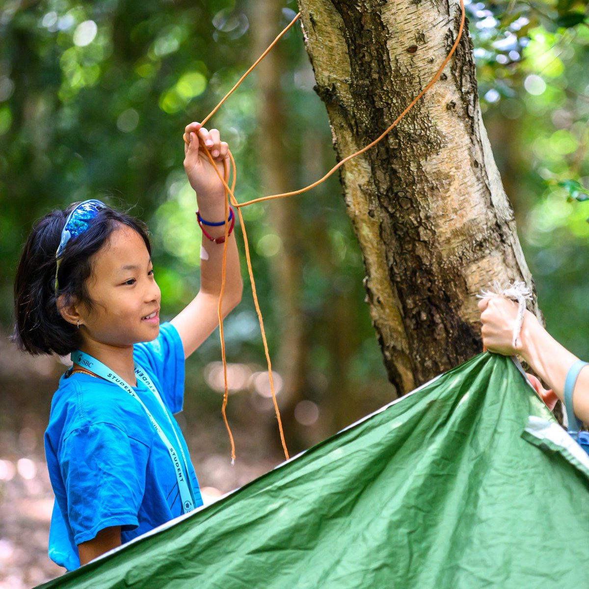 Summer Boarding Courses tweet media