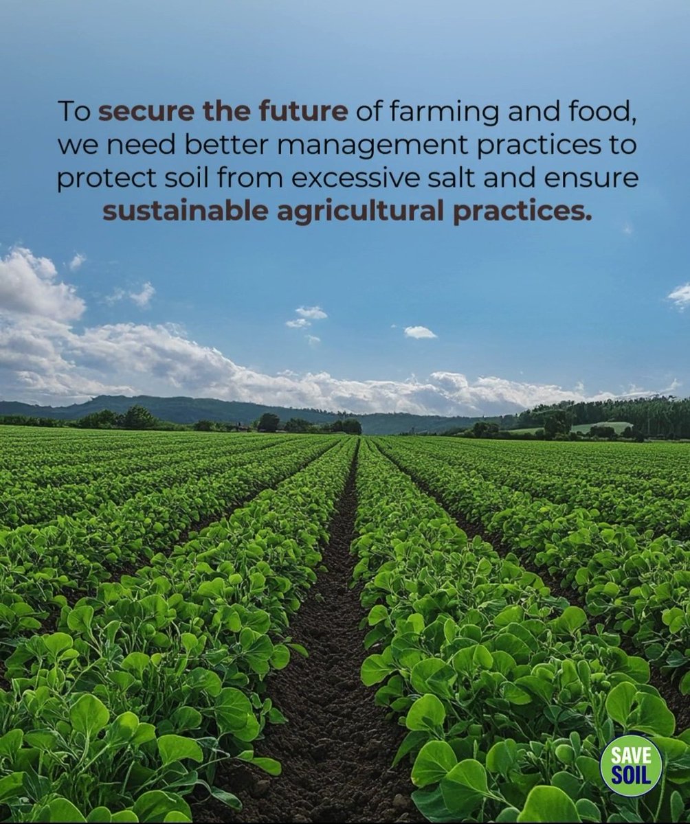 Riccard13371991's tweet photo. Sustainable agriculture is the future, let's act now!
#SaveSoil https://t.co/E6A0LSZSFx