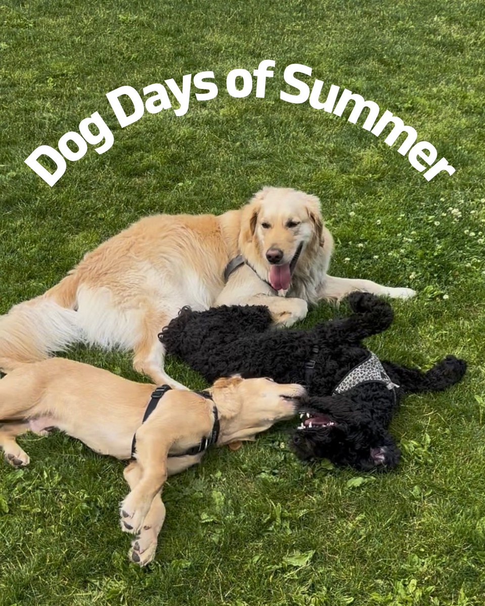 PrimeCapitalGroup tweet media