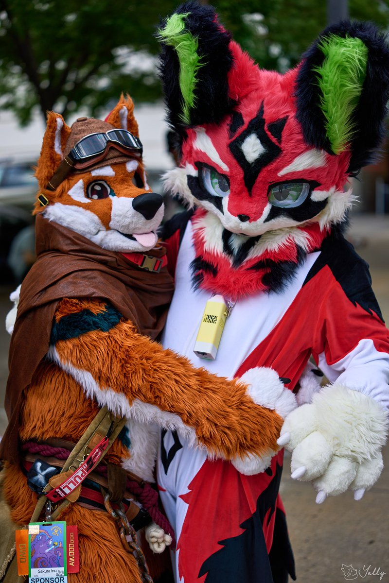 Sakura is taking me home 

#FursuitFriday