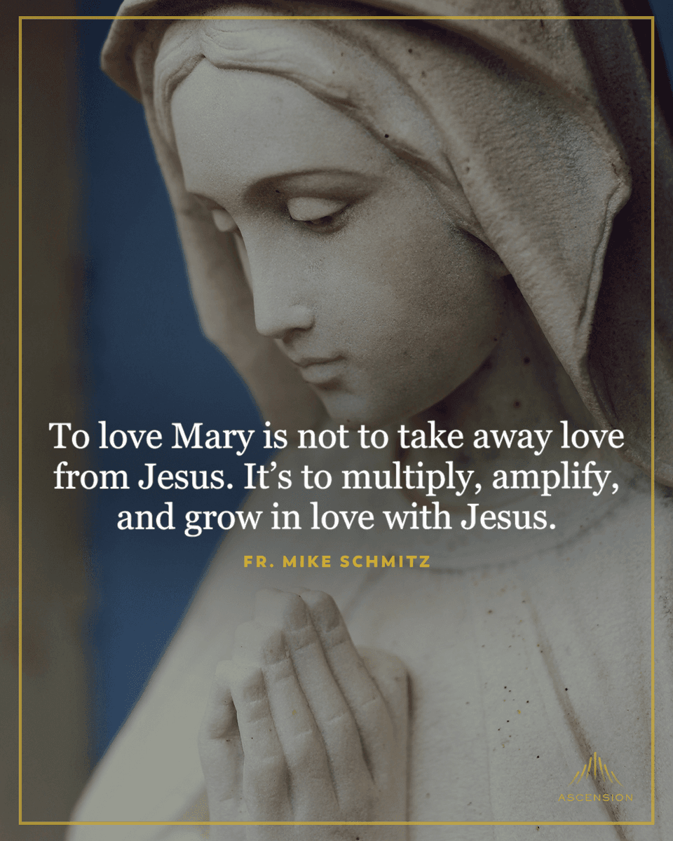 AscensionPress's tweet photo. Happy Solemnity of the Assumption of the Blessed Virgin Mary! https://t.co/NAPeXYOZ64