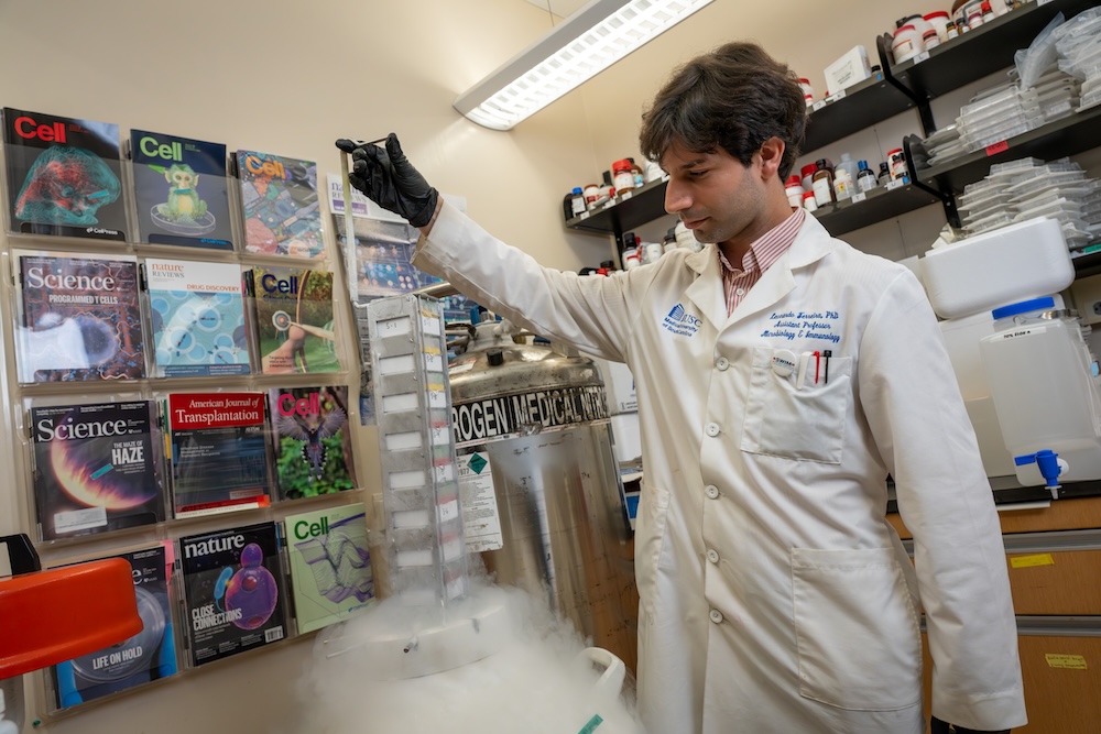 A new engineered regulatory T cell is born. Chimeric anti-HLA receptor regulatory T cells (CHAR Tregs) inhibit antibody production by B cells from HLA sensitized transplant patients, offering a precise approach to tackle antibody-mediated organ rejection.
frontiersin.org/journals/immun…