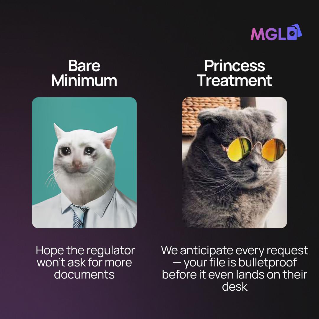 MGL_Company's tweet photo. See? MGL treats you like a princess 💅👑

P.S. Send photos of your cats in the comments – let's see how many cat lovers in iGaming 👇

#iGaming #OnlineCasino #BettingIndustry #GamingLicense #CasinoBusiness #Sportsbook #Fintech #Crypto https://t.co/rj254fIpml