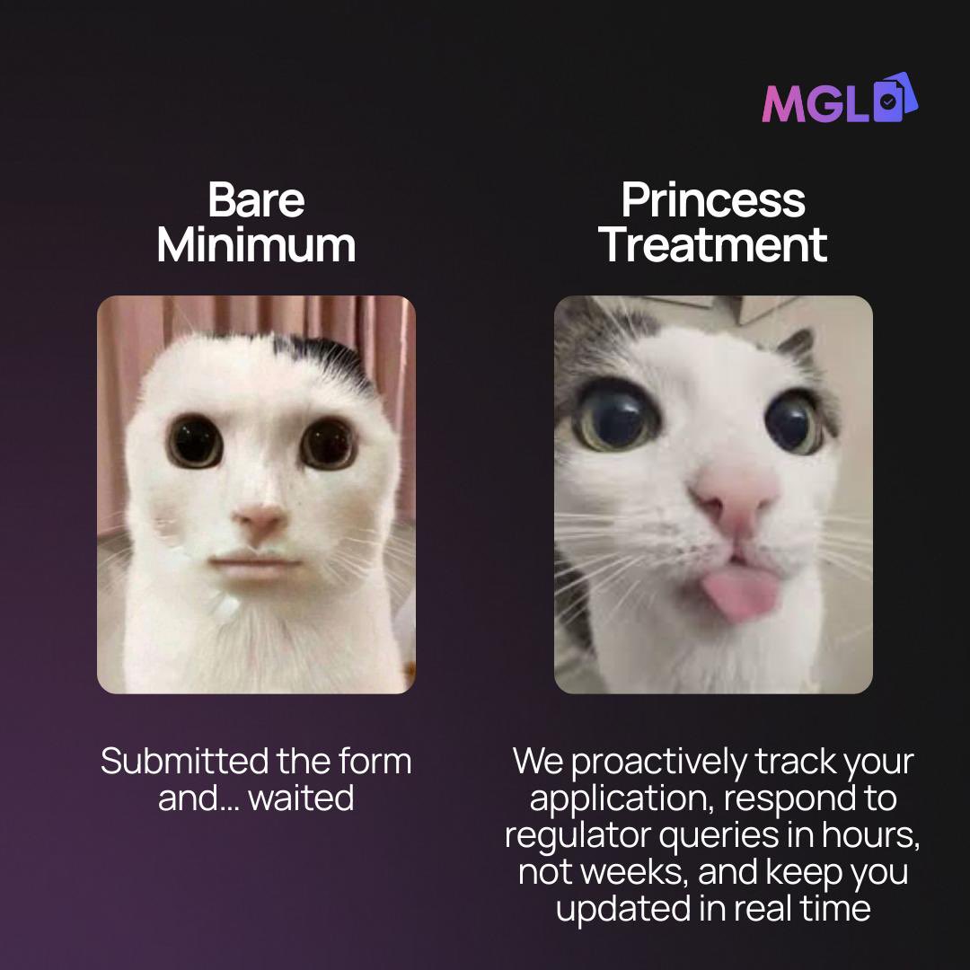 MGL_Company's tweet photo. See? MGL treats you like a princess 💅👑

P.S. Send photos of your cats in the comments – let's see how many cat lovers in iGaming 👇

#iGaming #OnlineCasino #BettingIndustry #GamingLicense #CasinoBusiness #Sportsbook #Fintech #Crypto https://t.co/rj254fIpml