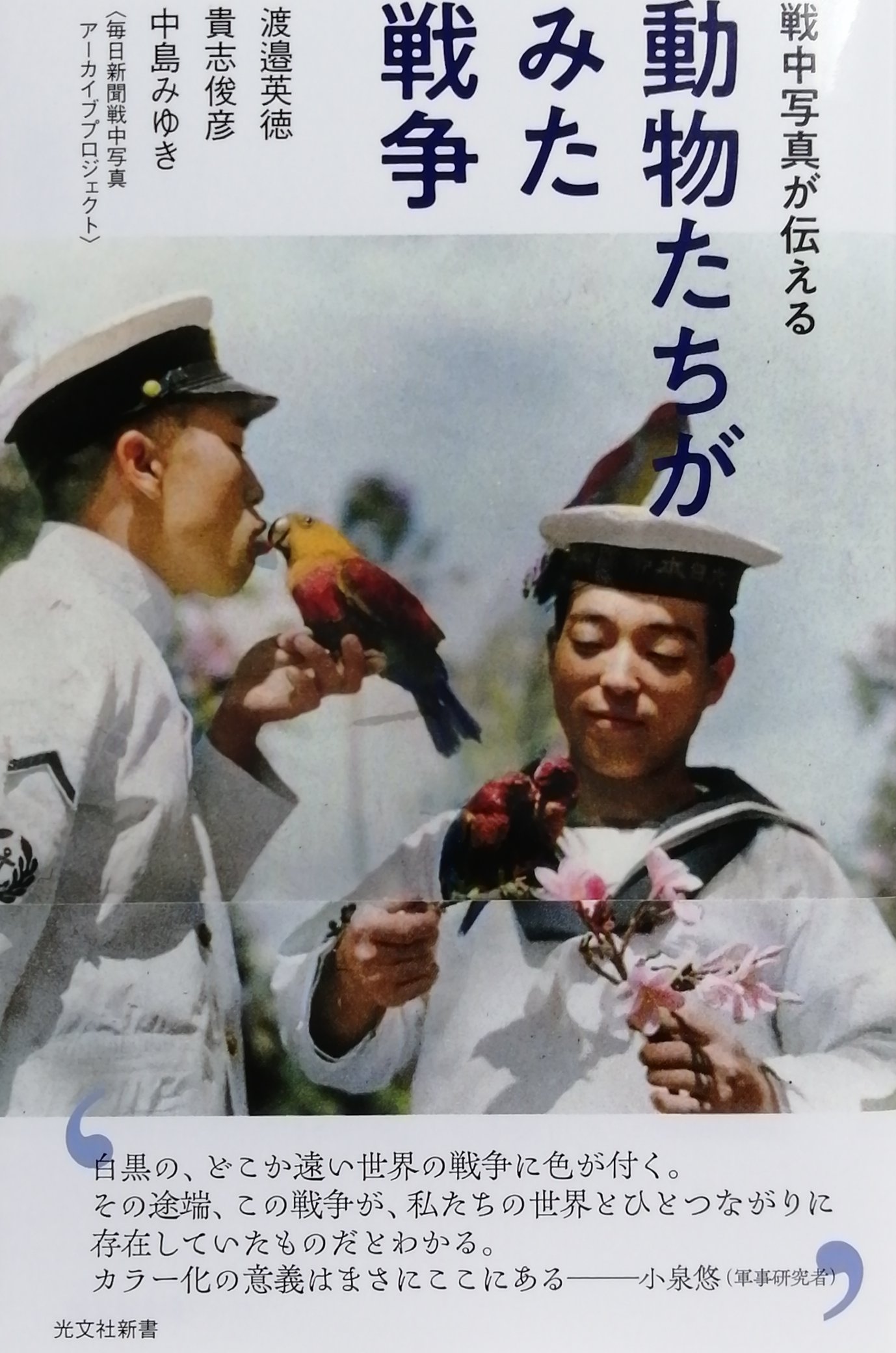 エソポのハブラス本文と総索引 本文篇/清文堂出版/大塚光信（単行本） 清文堂出版：エソポのハブラス 本文と総索引〈大塚光信・来田 隆編〉