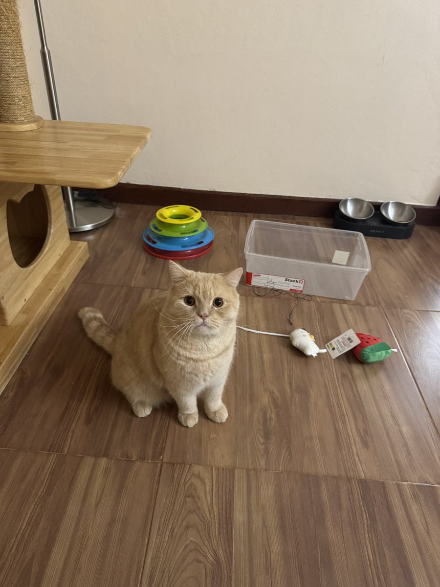 บีมกับน้องๆ (@yayee2548) on Twitter photo 