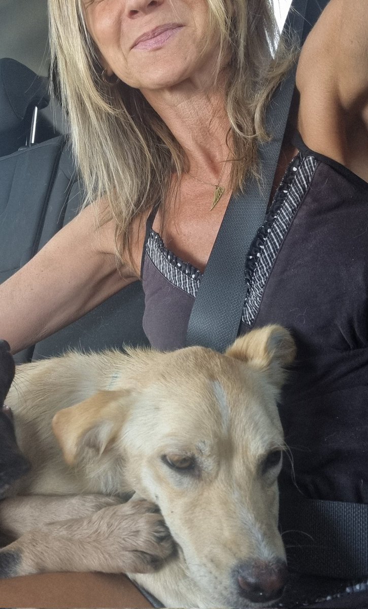 Creo que ha sido pronto,  pero ya  no hay vuelta atrás. Adaptándonos las dos. Espero que seas muy feliz. Bienvenida a casa , Nala 💙.