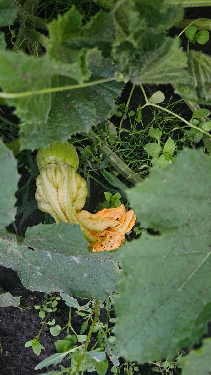 <a href="/Pumpkinjerk/">Donald Crews 🇺🇦🇮🇱🇨🇦</a> You don't have to worry about ever losing in Smoky Lake to me. <a href="/840CFCW/">840 CFCW</a>