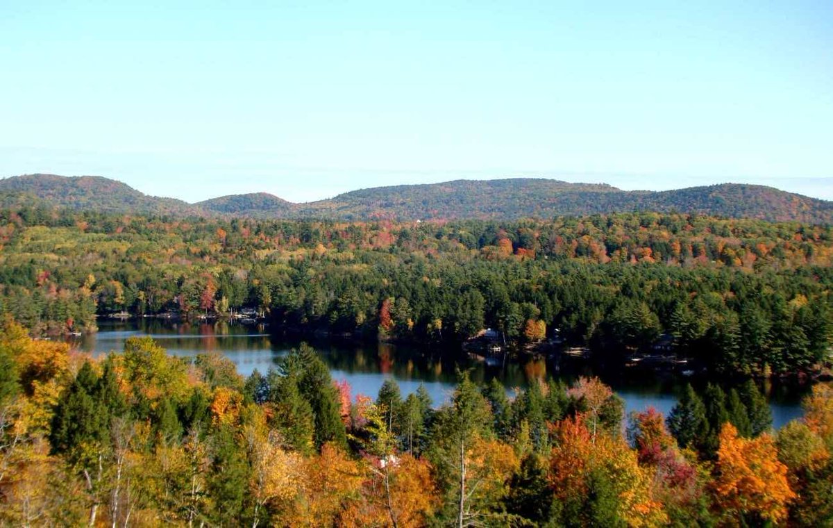 philMclorick's tweet photo. Sokokis Lake
Limerick Maine
https://t.co/pbqCDXmGZn https://t.co/Y695zAvBEk