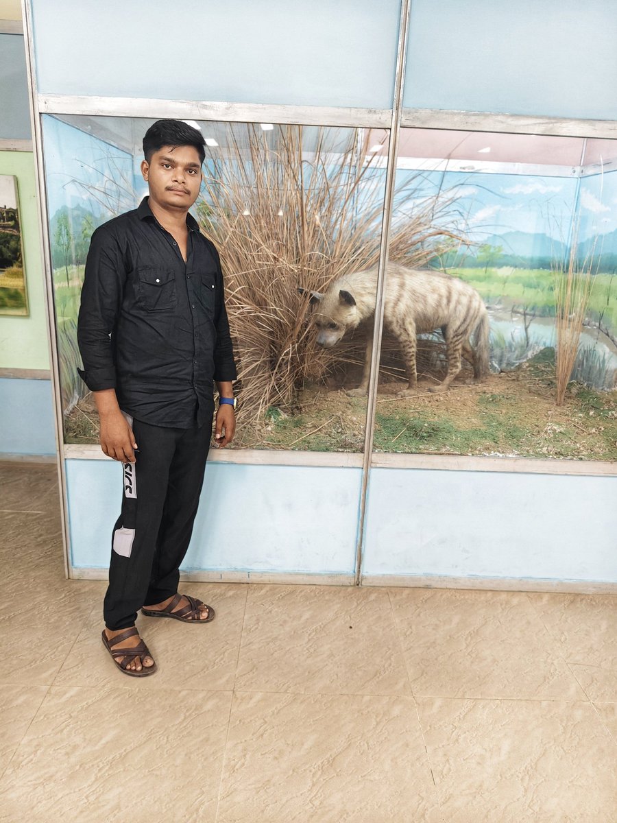 JUBERKHAN45's tweet photo. Ranthambhore ki wild hawa aur tiger ki sherni si vibe… 🐯💪
#JungleVibes #RanthambhoreNationalPark #TigerZone 
#sawaimadhopur https://t.co/Zc1eAi7nEa