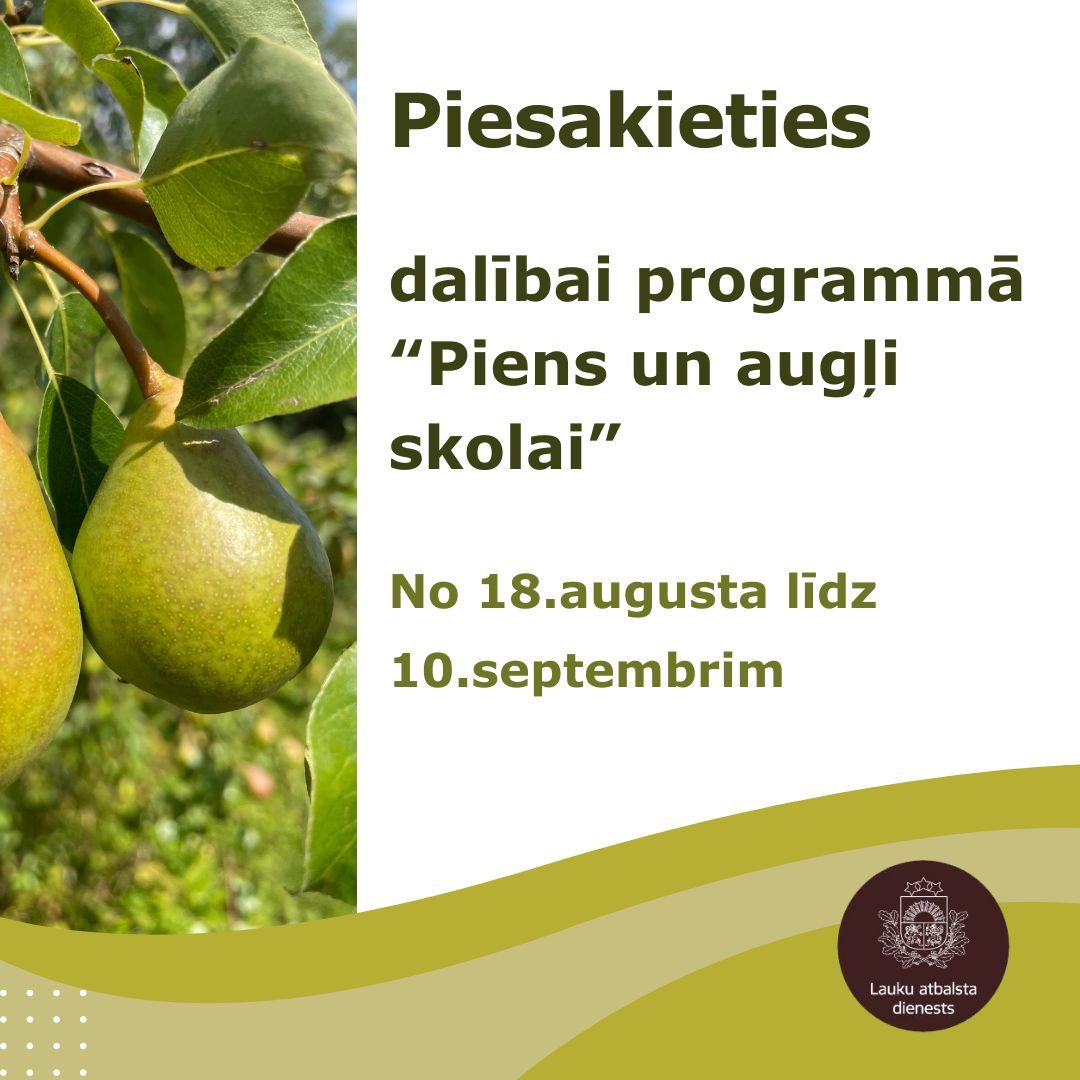 🍎🥛 No 18.augusta līdz 10.septembrim izglītības iestādes var var pieteikties dalībai programmā "Piens un augļi skolai" 2025./2026. mācību gadā. Uzzini vairāk 👉lad.gov.lv/lv/jaunums/var…