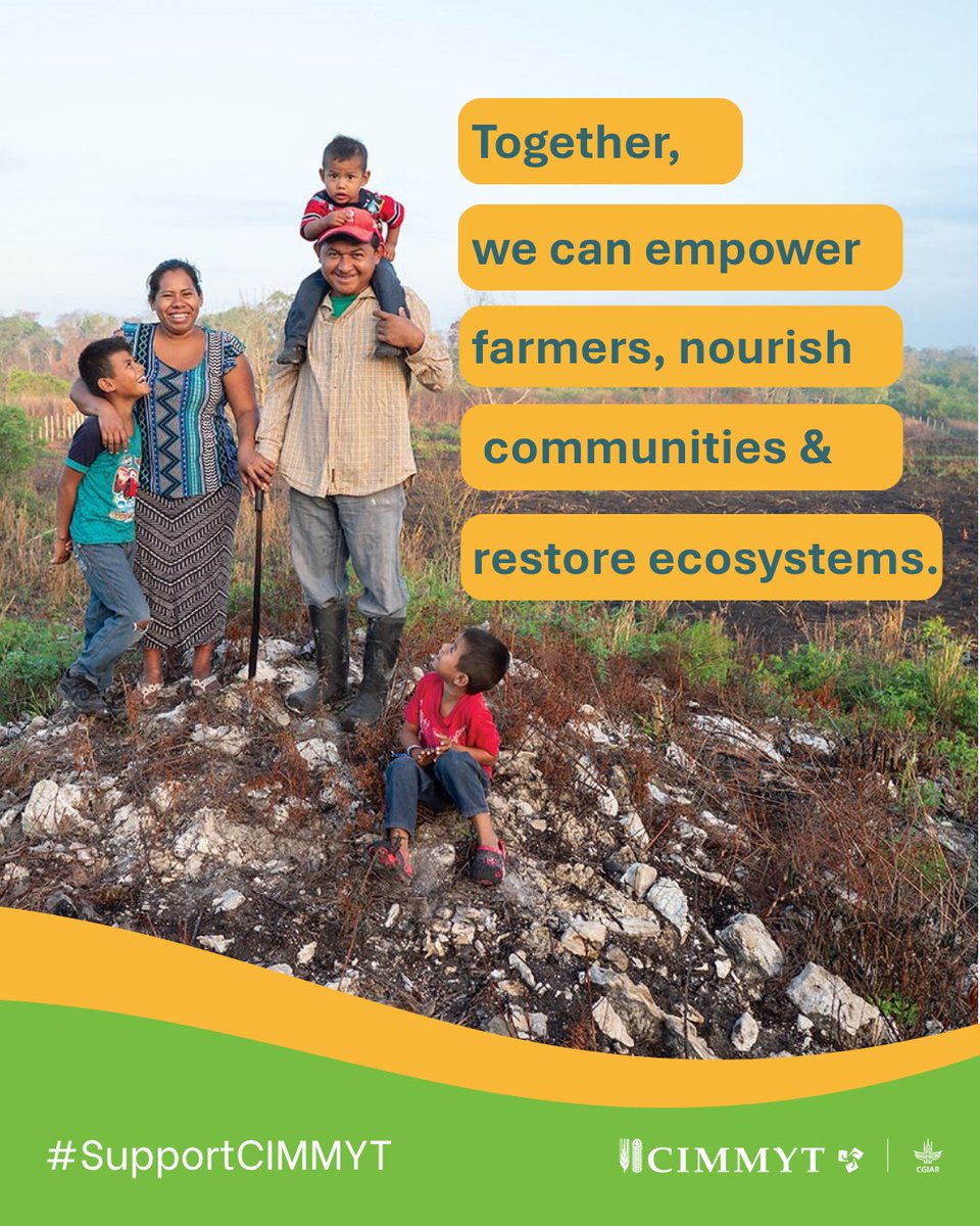 .<a href="/CIMMYT/">CIMMYT</a> invites #Mexico's private sector investments in agricultural R&amp;D for a resilient future.

Together, we can empower farmers, nourish communities &amp; restore ecosystems.

We welcome investments in #FieldsForTheFuture #PlantsWithPurpose #SeedsOfHope.

bit.ly/3UhbbWQ