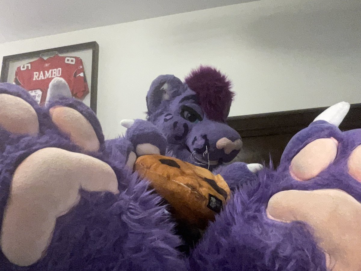 #FursuitFriday snep is offering you a cookie in exchange for cuddles and talking bout boys what do you do?