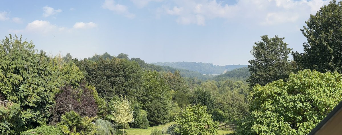 Louise Pollard tweet media