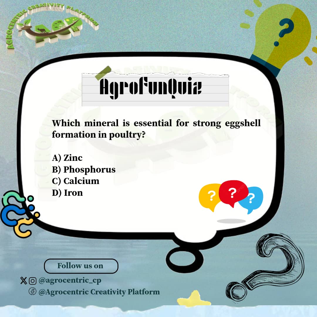 agrocentric_cp's tweet photo. Which mineral is essential for strong eggshell formation in poultry? ๐ฅ๐
A) Zinc
B) Phosphorus
C) Calcium
D) Iron
Share your answer in the comments, letโs keep learning together!
#AgroFunQuiz
#AgroKnowledge
#TrulyAgrocentric
#YouthsInAgriculture
#ACIPAAY https://t.co/0mhz1HH2if