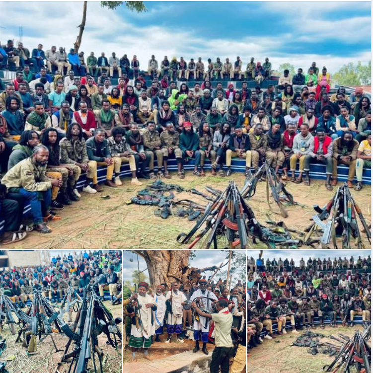 ጉጂ አካባቢ የሚቀሳቀሱ የሸኔ ታጣቂ አባላት የሰላም መንገድ መርጦ እጃቸውን ለአባ ገዳዎች እና ጸጥታ አካላት ሰጥቷል። ሰለም ይሻላል