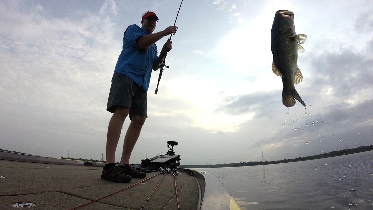 FishHandbook's tweet photo. #Flashback to some great fish catching action on @spro_usa frogs from throughout the years!

#SPRO #SPROUSA #WeAreSPRO #SPROFishing #Fraugust #SunlineAmerica #BassProShops #RangerBoats #FishGarmin #YamahaOutboards #Fishing #BassFishing https://t.co/MDQKKwSKUA