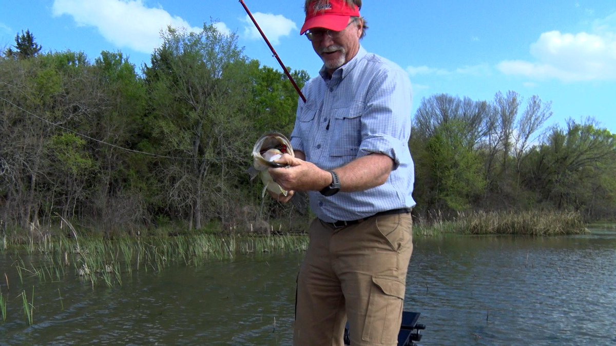 FishHandbook's tweet photo. #Flashback to some great fish catching action on @spro_usa frogs from throughout the years!

#SPRO #SPROUSA #WeAreSPRO #SPROFishing #Fraugust #SunlineAmerica #BassProShops #RangerBoats #FishGarmin #YamahaOutboards #Fishing #BassFishing https://t.co/MDQKKwSKUA