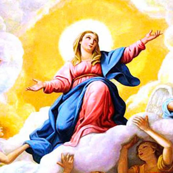 Today, the Church celebrates one of the greatest mysteries in salvation history: the Solemnity of the Assumption of the Blessed Virgin Mary into Heaven.

A dogma of faith, a prophecy fulfilled, and the promise of our own resurrection.

The Assumption of Our Lady - a 🧵✝️