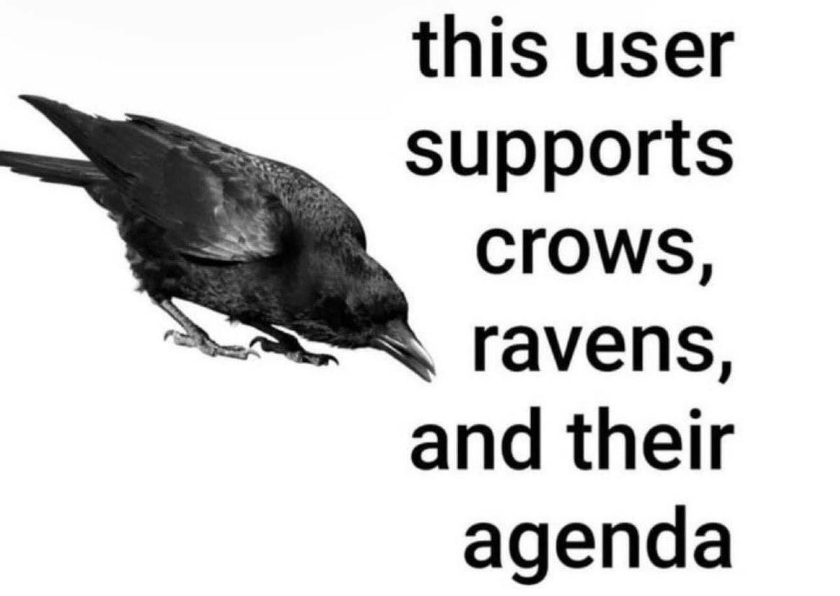 Richard_Kadrey's tweet image. Good morning