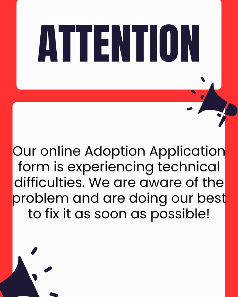 Our online Adoption Application Form is experiencing technical difficulties, please stand by while we resolve the issue.  Thank you for your patience 🙏🏼