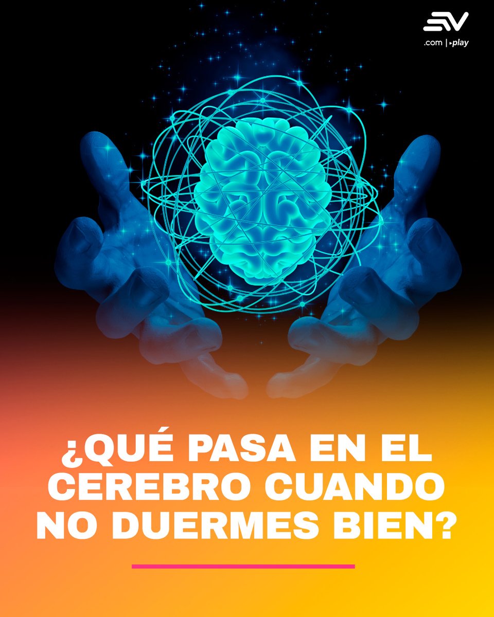 ecuavisa's tweet photo. 📌 #LoMásLeído 🛌💤 Esto es lo que le ocurre a tu cerebro cuando no duermes bien. 💻 https://t.co/VO2UrPwwiA https://t.co/FvPRplC4UO
