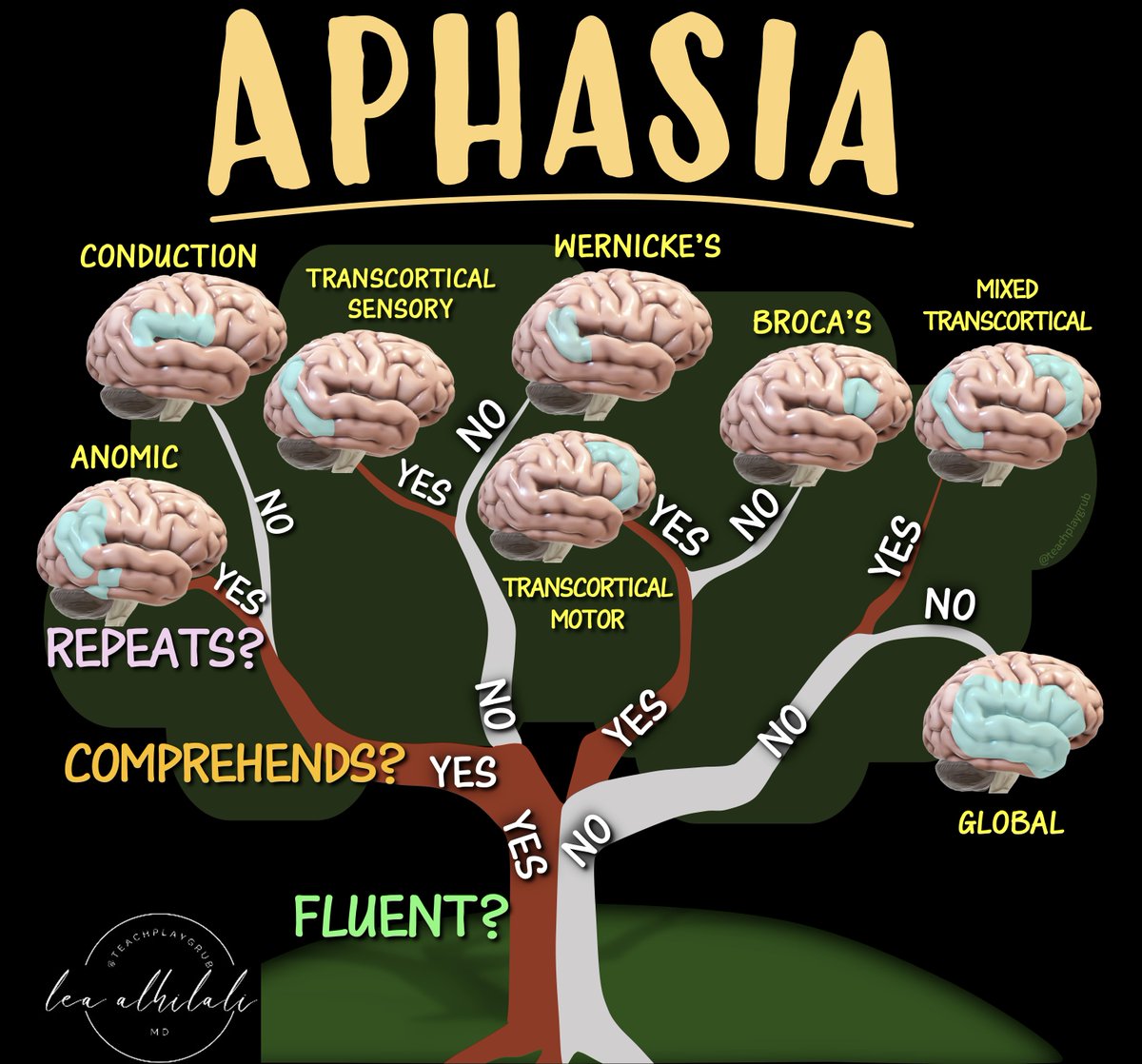Lea Alhilali, MD (@teachplaygrub) on Twitter photo When you’re asked to localize the lesion in a patient with aphasia, do you suddenly feel speechless?
At a loss for words to categorize the type of aphasia?
Never fear—here is the decision tree for patients w/aphasia and the associated anatomic correlates
Three main questions: When you’re asked to localize the lesion in a patient with aphasia, do you suddenly feel speechless?
At a loss for words to categorize the type of aphasia?
Never fear—here is the decision tree for patients w/aphasia and the associated anatomic correlates
Three main questions: