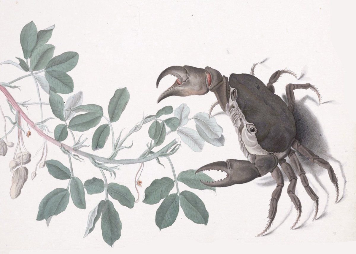 Kikillo® (@kikillo) on Twitter photo 