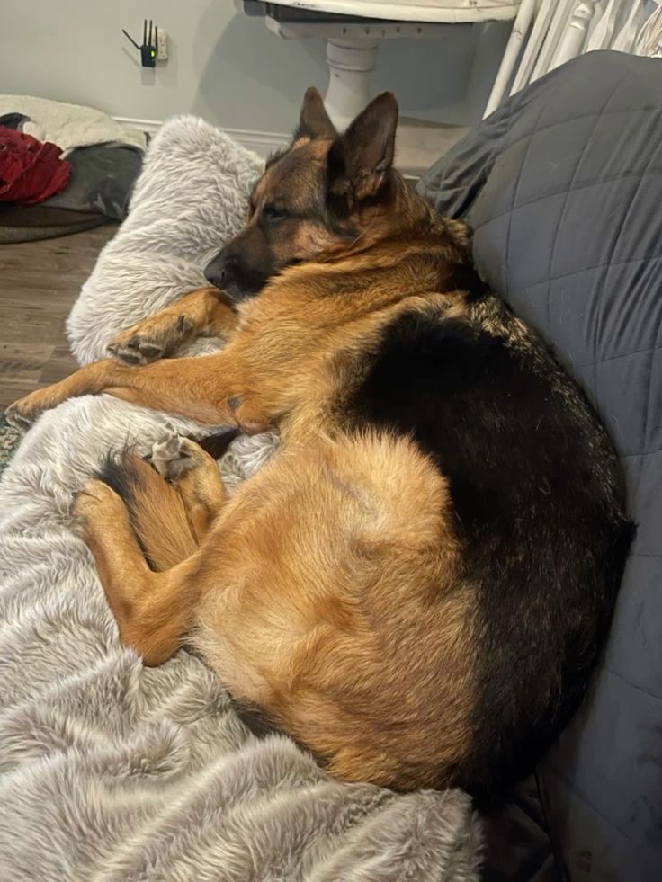 Derrick Riggs tweet media