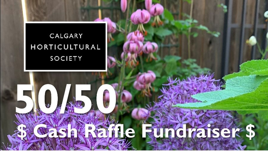 Gardeners' Corner at Calgary Horticultural Society - mailchi.mp/calhort/garden…
Fall Plant Share is coming! Invasive plants, gardening tips, and classes.
Read about it in the Gardeners' Corner e-news. Subscribe bit.ly/3mFnHMn