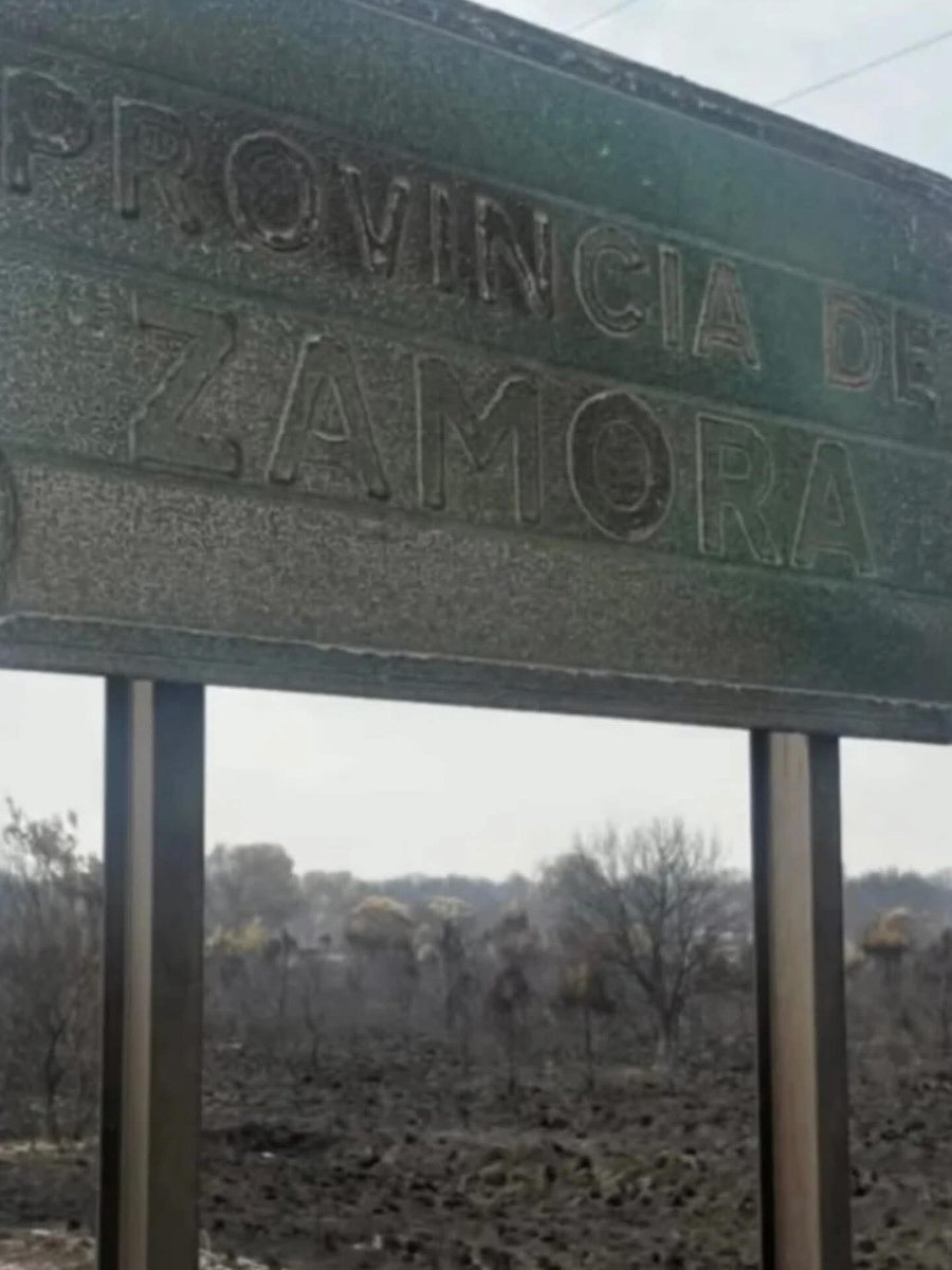 🔥 Yo, un ciudadano de a pie de esta tierra quemada, hablo desde la rabia y el asco.

Zamora arde otra vez… y no solo por el fuego.

Este hilo es para quienes han permitido que mi provincia se convierta en ceniza.

#ZamoraEnLlamas #SOSZamora
