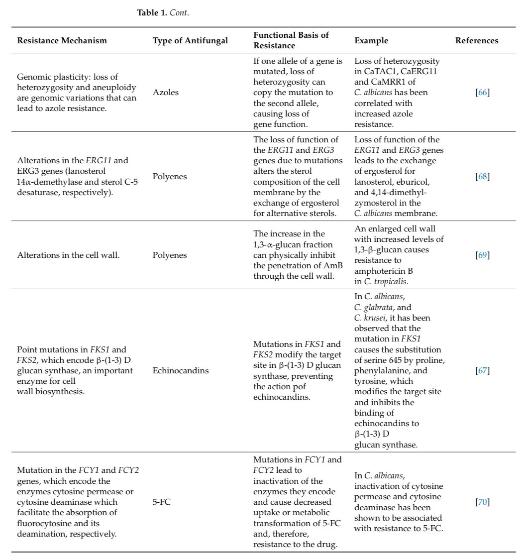 Alí Sebastian Meza tweet media