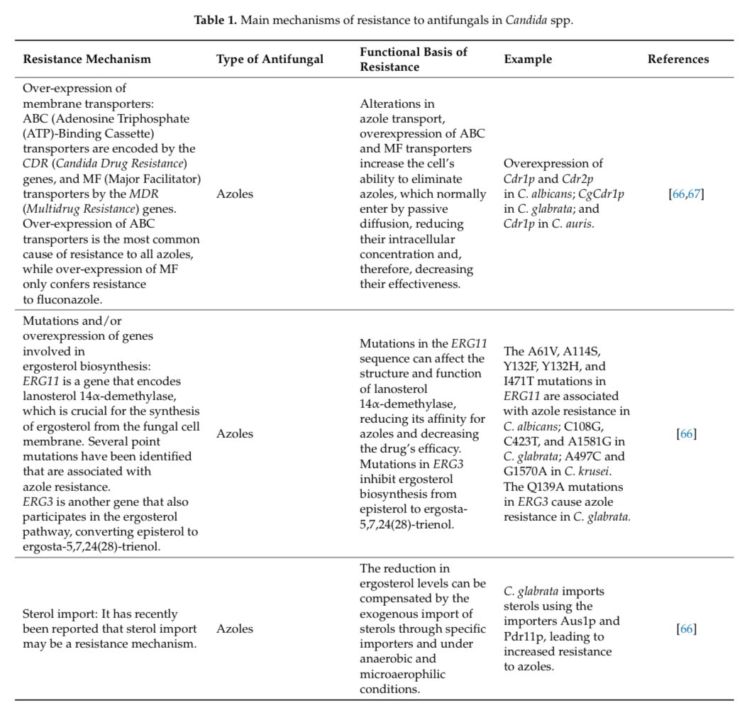 Alí Sebastian Meza tweet media